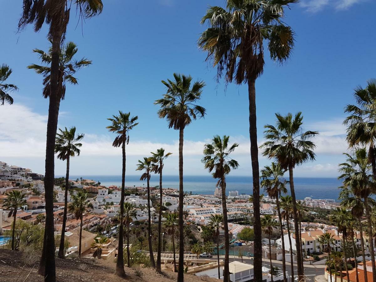 Lovely Studio Fully Equiped In Costa Adeje Eksteriør billede